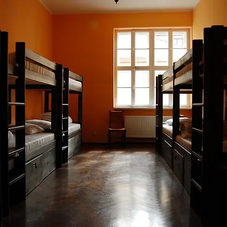 The Little Havana Party Auberge de jeunesse