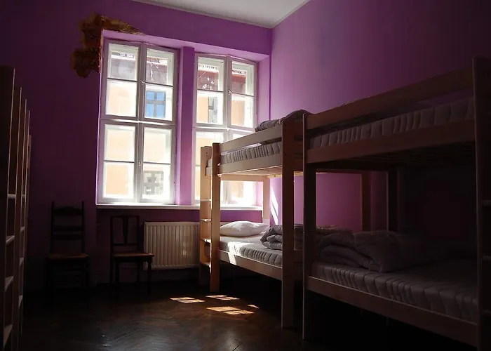 旅馆 利特哈瓦那帕尔蒂旅舍 克拉科夫